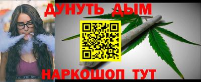сатива Аргун