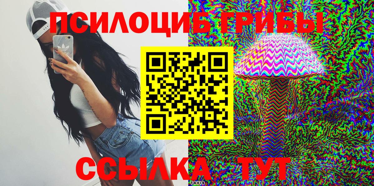 Берёзовский  Псилоцибиновые грибы Cubensis  Вход с VPN 