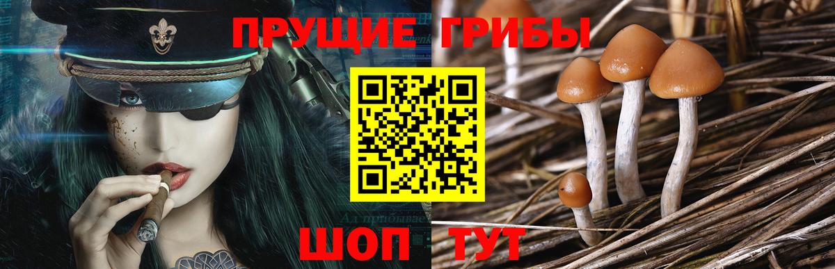 Галлюциногенные грибы мухоморы Берёзовский